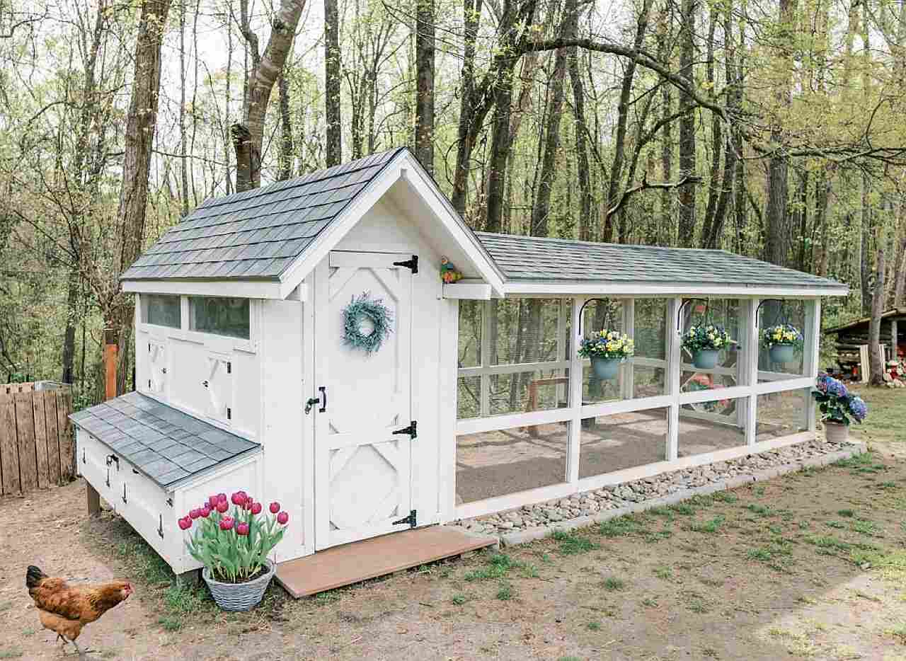 Building a DIY Chicken Coop: Tips and Tricks from Our Backyard