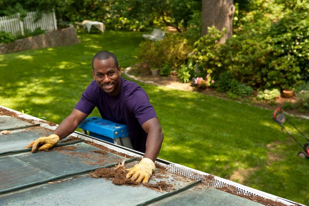 gutter cleaning